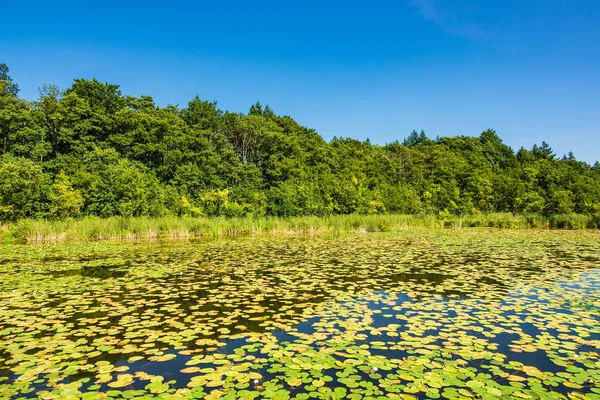 Пейзаж Озере Темплине Германия — стоковое фото