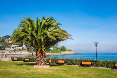 Atlantik Okyanusu kıyısında Brittany Ploumanach, Fransa.