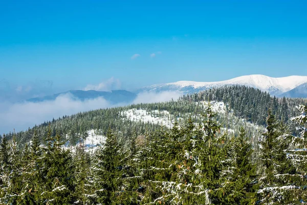 Hiver Avec Neige Dans Les Monts Géants République Tchèque — Photo