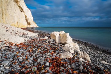 Danimarka 'da Moen adasında Baltık Denizi kıyısı.