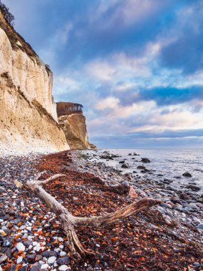 Danimarka 'da Moen adasında Baltık Denizi kıyısı.