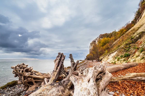 Pobřeží Baltského Moře Ostrově Moen Dánsku — Stock fotografie