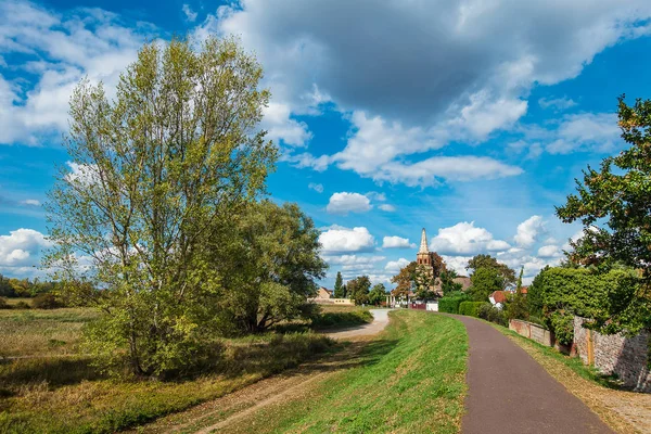 Dike River Elbe Magdeburg Germany — Stock Photo, Image