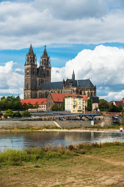 Utsikt Över Floden Elbe Till Magdeburg Tyskland — Stockfoto