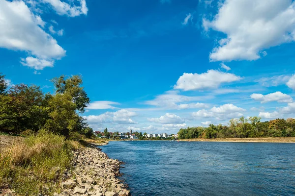 View River Elbe Magdeburg Germany — Stock Photo, Image