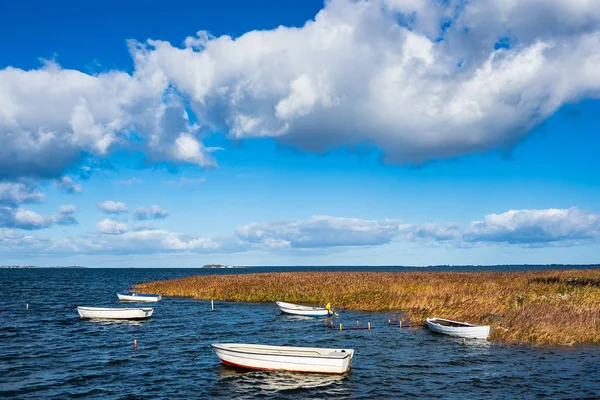 Boats Reeds Baltic Sea Denmark — Stock Photo, Image
