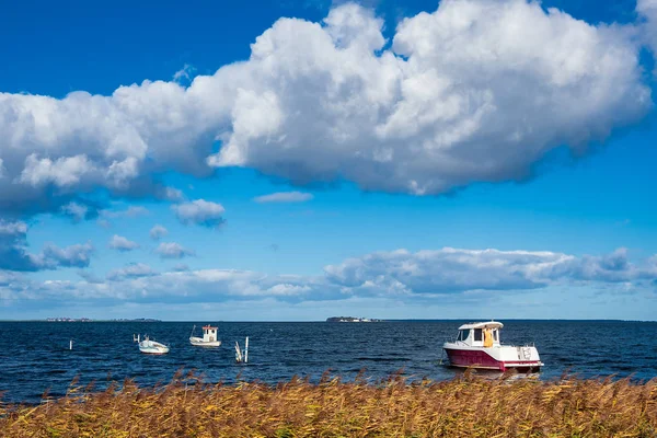ボートやデンマークのバルト海の葦 — ストック写真