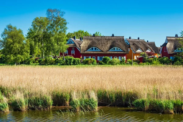 Buildings Trees Prerow Germany — Stock Photo, Image