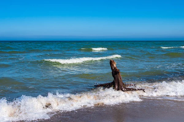 Kofferraum Der Ostsee — Stockfoto