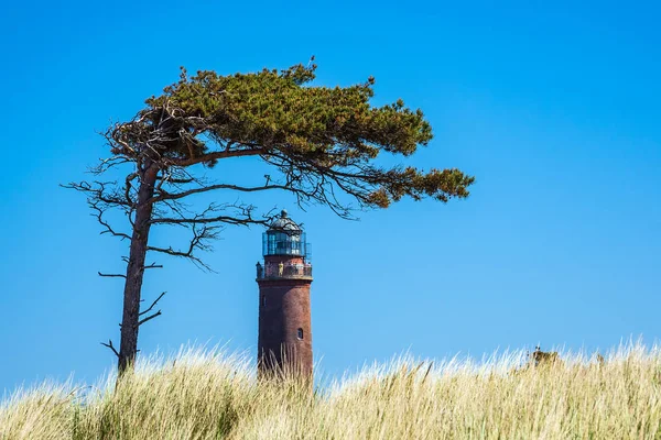 Lighthouse Darsser Ort Узбережжі Балтійського Моря — стокове фото
