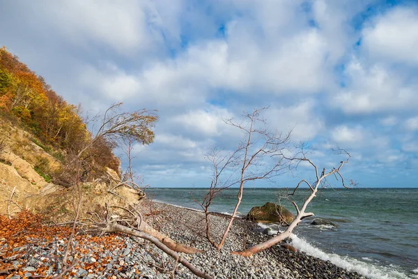 Costa Del Mar Báltico Isla Moen Dinamarca — Foto de Stock