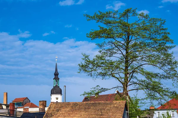 Igreja Com Árvores Telhados Luebbenau Alemanha — Fotografia de Stock