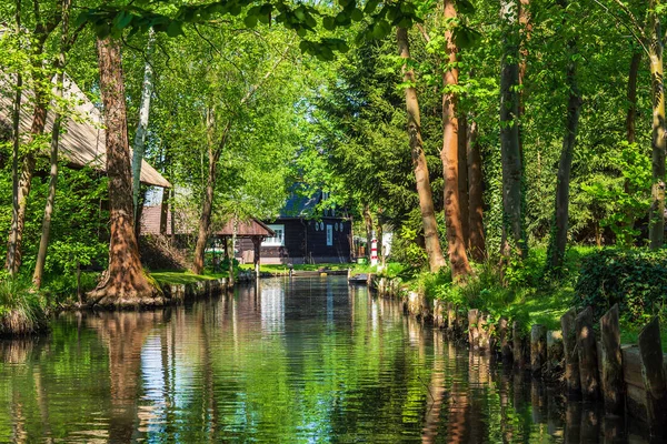 Yazlık Spreewald bölgesinde Almanya ile manzara.