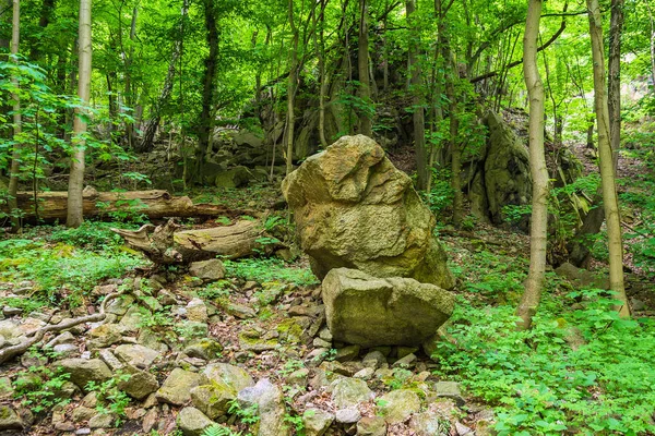 Landschap Met Rotsen Het Harz Gebied Duitsland — Stockfoto