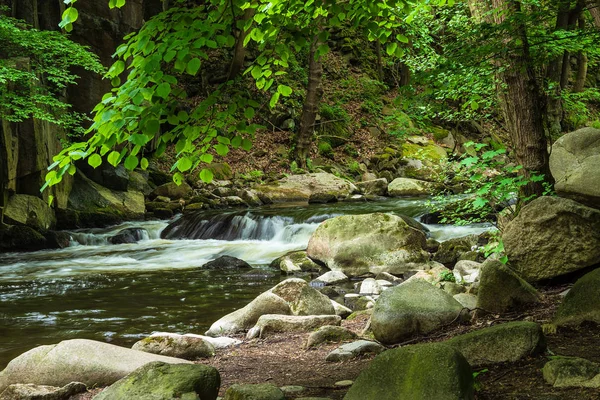 Krajina Řekou Bode Oblasti Harz Německo — Stock fotografie