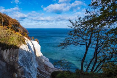 Danimarka 'da Moen adasında Baltık Denizi kıyısı.
