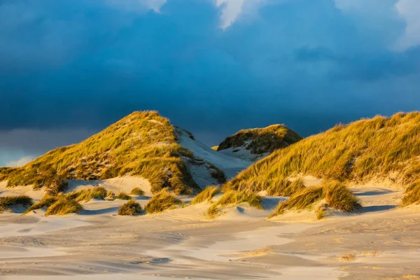 Дюни на узбережжі Північного моря на острові острові Amrum, Німеччина — стокове фото
