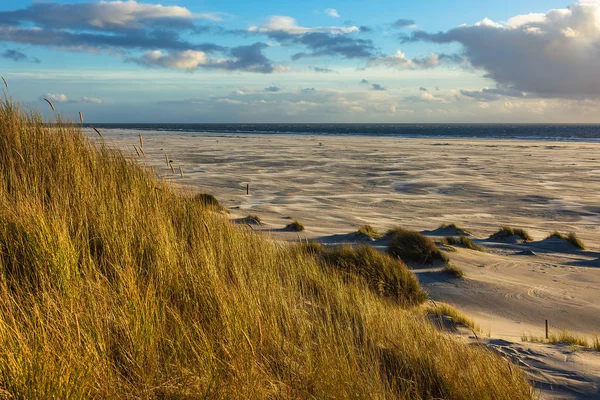 Dunes sur la côte de la mer du Nord sur l'île d'Amrum, Allemagne — Photo