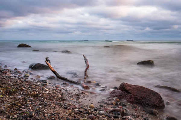 Drifhout aan de kust van de Oostzee — Stockfoto