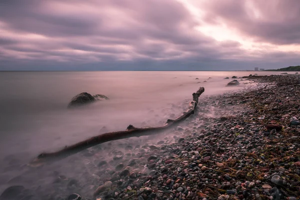 Drift wood on shore of the Baltic Sea — Stock Photo, Image