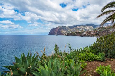 Portekiz 'in Madeira adasındaki Camara de Lobos şehrine bakın.