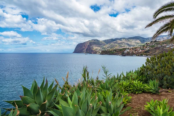 Portekiz 'in Madeira adasındaki Camara de Lobos şehrine bakın. — Stok fotoğraf