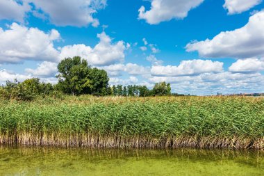 Almanya, Roepersdorf 'ta bir göl manzarası
