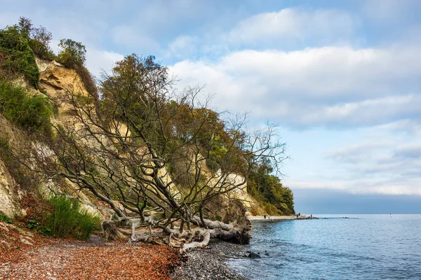 Costa del Mar Báltico en la isla de Ruegen, Alemania — Foto de Stock