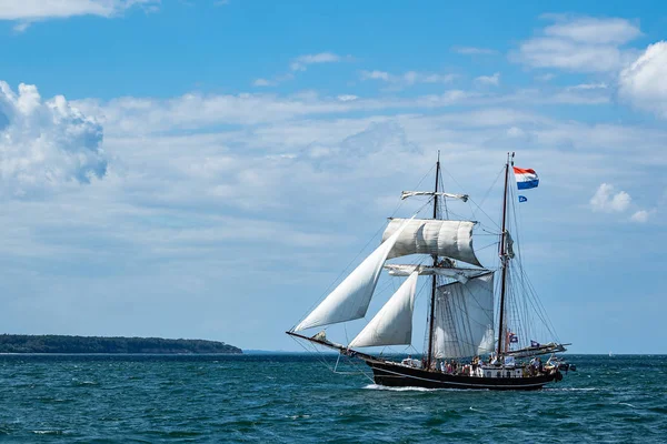 Windjammer na żaglu Hanse w Rostocku, Niemcy — Zdjęcie stockowe