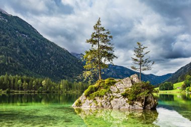 Almanya 'nın Berchtesgaden Alplerinde kaya ve ağaçlarla Hintersee Gölü.