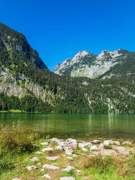 德国伯克特斯加登阿尔卑斯山中岩石和树木覆盖的科尼格斯湖 — 图库照片