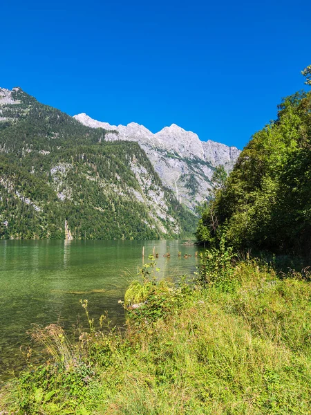 Lake Koenigssee with rocks and trees in the Berchtesgaden Alps, Germany.