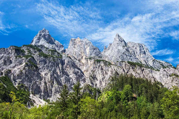 Landscape Mountains Trees Berchtesgaden Alps Germany — Stock Photo, Image