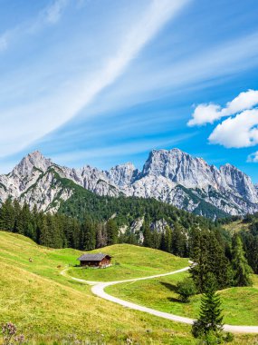 Avusturya, Alplerdeki Litzlalm dağlarına bakın..