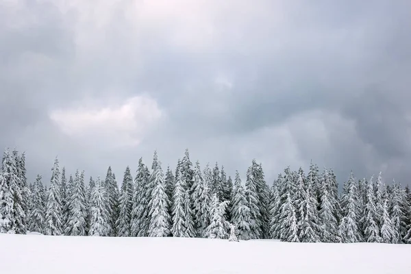 Hiver Avec Neige Dans Les Monts Géants République Tchèque — Photo