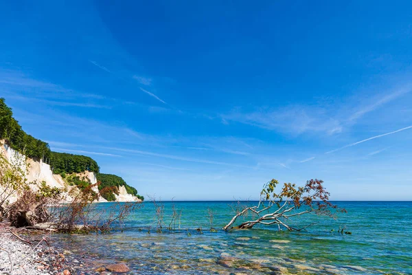 Scogliere Gesso Sulla Costa Del Mar Baltico Sull Isola Ruegen — Foto Stock