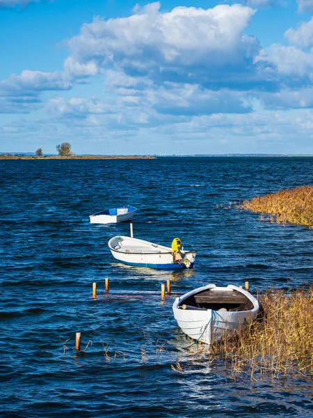 Boten Riet Het Eiland Moen Aan Oostzee Denemarken — Stockfoto