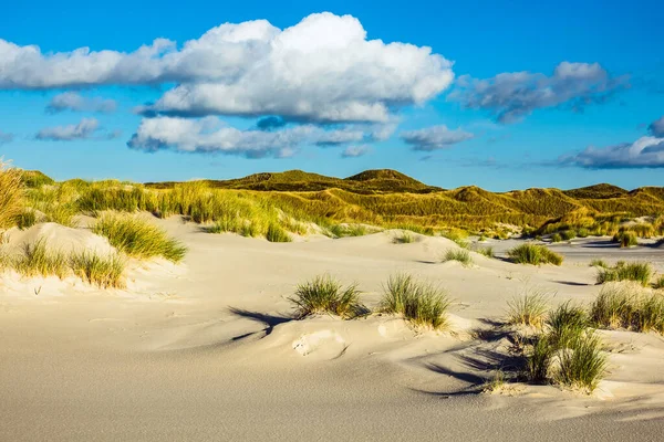 Paesaggio Tra Dune Sull Isola Del Mare Del Nord Amrum — Foto Stock