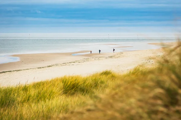 Landscape Dunes North Sea Island Amrum Germany — Stock Photo, Image
