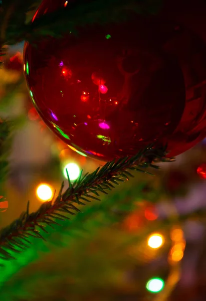 Boule rouge sur sapin de Noël avec reflet du photographe — Photo
