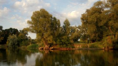 Nehirde güzel bir akşam.