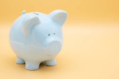 Mavi Seramik Sikke Bankası