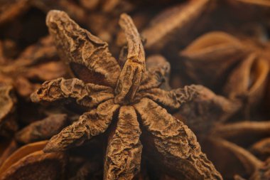 Yıldız anasonlu tohum kapsülünün ilginç perspektifi yakın çekimde çekildi.