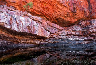 Ormiston Boğazı, Batı MacDonnell Ulusal Parkı, Kuzey Bölgesi, Avustralya