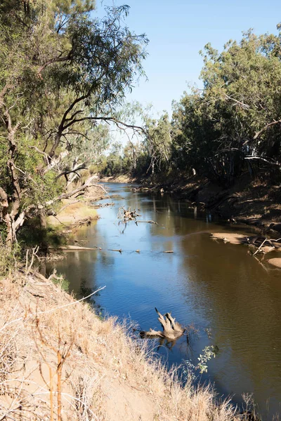 Macquarie Joki Lähellä Warrenia New South Walesissa Australiassa — kuvapankkivalokuva