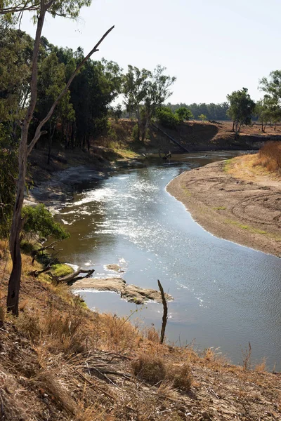 Река Маккуори Вблизи Уоррена Новом Южном Уэльсе Австралия — стоковое фото