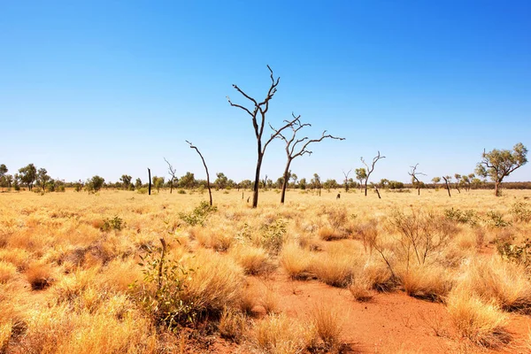 Outback Scene Национальный Парк Улуру Ката Тжута Северная Территория Австралия — стоковое фото