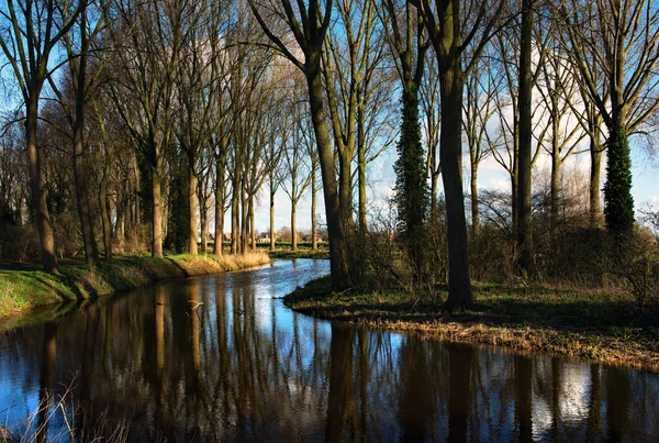Pittoresk Skogsscen Den Lilla Byn Damme Belgien — Stockfoto