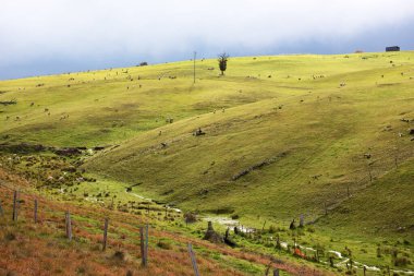 Yeni Güney Galler 'de Golspie yakınlarındaki tarım arazileri, Avustralya