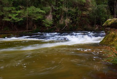 Belmore Falls, NSW, Avustralya 'daki Kanguru Nehri' nde Akıntı